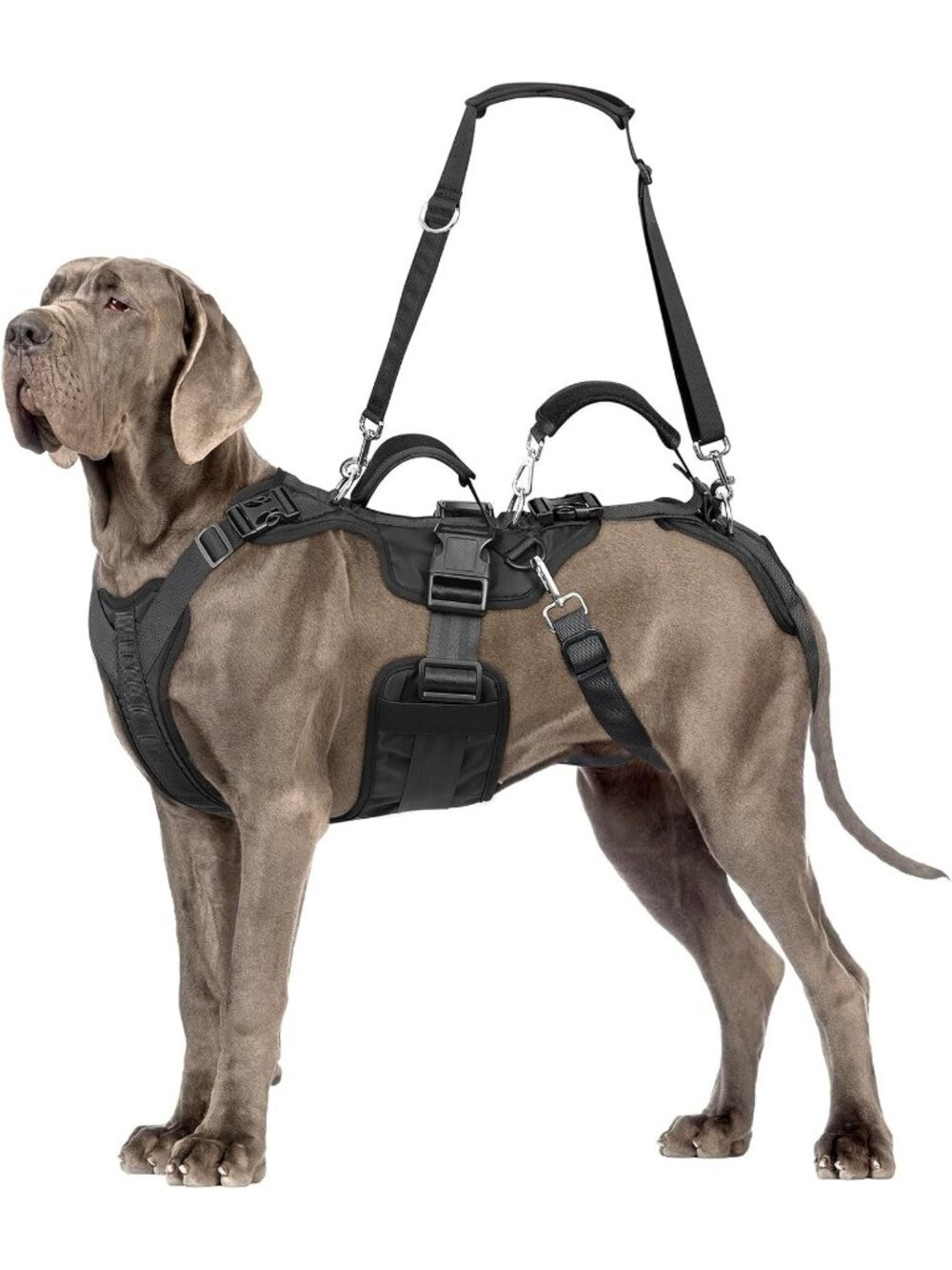 Dog Lift Harness Support & Recovery Sling for Full-Body & Hind/Front Leg (XL)